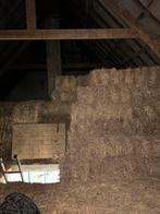 Strobalen, Dieren en Toebehoren