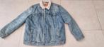 Levis winterjas, Ophalen, Blauw, Levi’s, Maat 56/58 (XL)