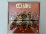 Cats Aglow, Ophalen, Gebruikt, 12 inch, Poprock