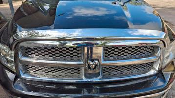 Dodge Ram bug shield.  beschikbaar voor biedingen