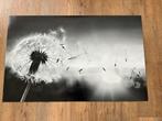 Inductie / kookplaat beschermer NIEUW 80x50 cm, Ophalen of Verzenden, Nieuw