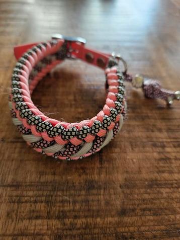 Mooie paracord honden halsband voor de kleinere hond beschikbaar voor biedingen