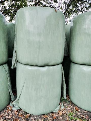 Midi balen 2e snede  stengelig paarden hooi van de kleigrond beschikbaar voor biedingen