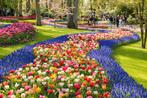 Cadeaukaart Keukenhof, Tickets en Kaartjes, Cadeaubon, Overige typen, Twee personen