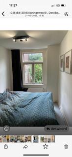 Te huur Den Bosch, Huizen en Kamers