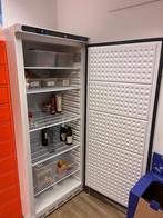 Groote staande koelkast, Witgoed en Apparatuur, Ophalen, 200 liter of meer, 160 cm of meer, 45 tot 60 cm