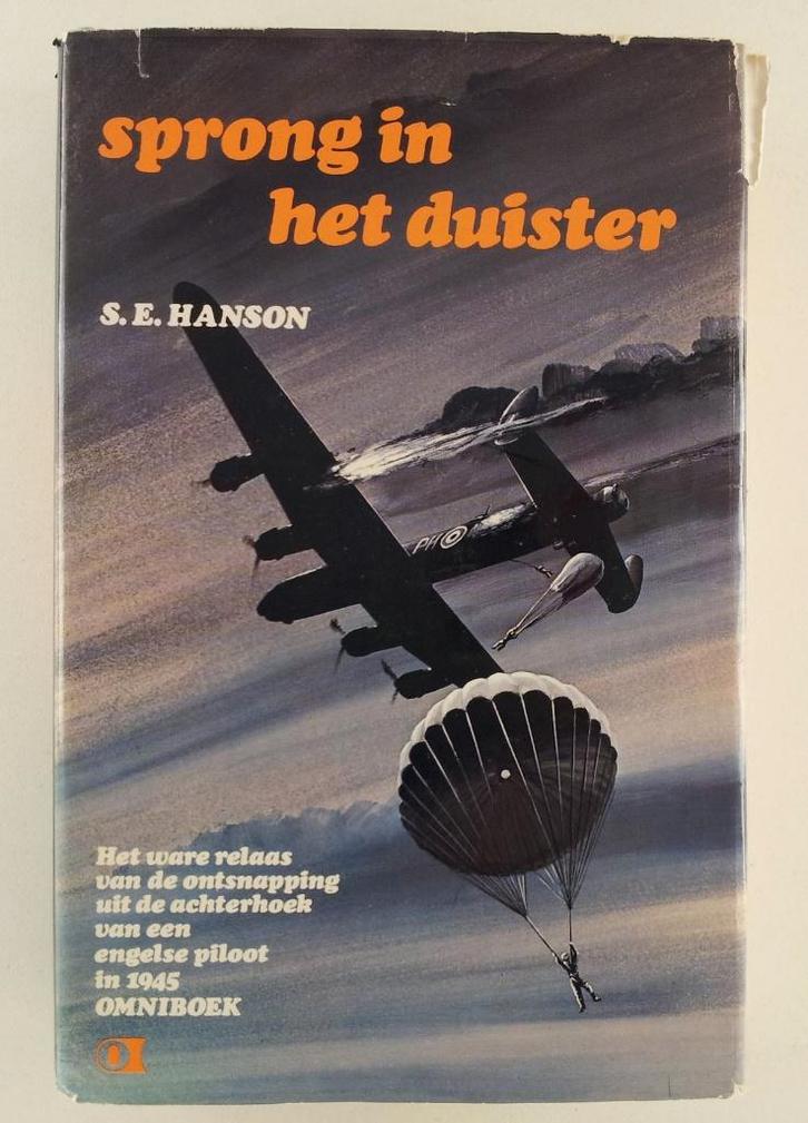 Hanson, S.E. - Sprong in het duister, Boeken, Romans, Gelezen, Verzenden