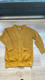 Okergeel vest, Ophalen of Verzenden, Zo goed als nieuw