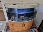 Te koop mooie aqarium met 3 axelotl, Dieren en Toebehoren, Vissen | Aquaria en Toebehoren, Ophalen of Verzenden, Zo goed als nieuw