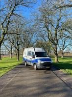 Iveco bus (2014) - Mobiele hondentrimsalon, Auto's, Bestelauto's, Stof, Zwart, Iveco, Particulier