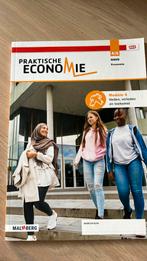 Praktische Economie 4/5 havo module 4, Boeken, Malmberg, Economie, Ophalen of Verzenden, HAVO