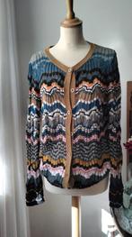 Didi gebreid vest in warme kleuren maat L, Zwart, Maat 42/44 (L), Didi, Ophalen of Verzenden