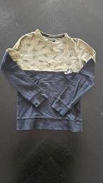Z8 trui /longsleeve 128/134, Kinderen en Baby's, Kinderkleding | Maat 128, Gebruikt, Z8, Ophalen of Verzenden, Shirt of Longsleeve