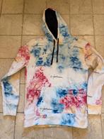 Hollister Hoodie moeilijk verkrijgbaar model. NIEUW, Overige kleuren, Nieuw, Ophalen of Verzenden, Hollister