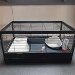 Ferplast konijnenhok Arena 100, Dieren en Toebehoren, Ophalen, Gebruikt, 60 tot 90 cm, Konijn