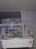 Parkieten, Ophalen of Verzenden, Metaal, Vogelkooi