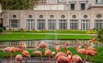 Tickets Antwerpen ZOO, Tickets en Kaartjes, Twee personen, Ticket of Toegangskaart