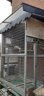 Papagaaien Kooi, Dieren en Toebehoren, Vogels | Hokken en Kooien, Ophalen, Gebruikt, Metaal, Volière