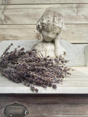 Brocante betonnen beeld / buste van een schrijvend meisje beschikbaar voor biedingen