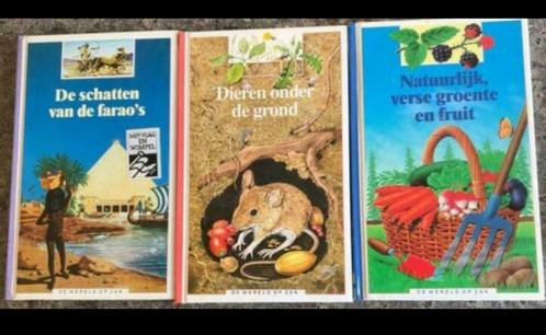 Drie informatieve boekjes. Zie foto’s, Boeken, Kinderboeken | Jeugd | 10 tot 12 jaar, Zo goed als nieuw, Non-fictie, Ophalen of Verzenden