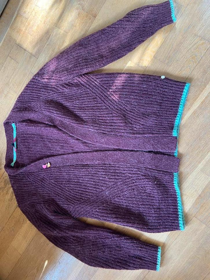 Pom Amsterdam Vest Aubergine 38 Zo Goed Als Nieuw, Kleding | Dames, Truien en Vesten, Zo goed als nieuw, Maat 36 (S), Paars, Ophalen of Verzenden