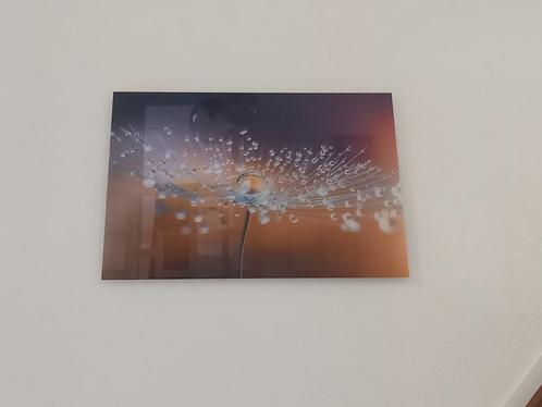 glasschilderijen, Huis en Inrichting, Woonaccessoires | Schilderijen, Tekeningen en Foto's, Nieuw, Schilderij, Minder dan 50 cm