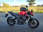 HONDA CB 500 HORNET 2024 ABS TRC HURRIC DEMPER LED TFT 35KW, 2 cilinders, HONDA, Motorrijbewijs A, Bedrijf