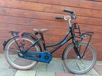 Prachtige Alpina Cargo Transporter 22 inch meisjes fiets, Ophalen, 22 inch, Gebruikt, Alpina