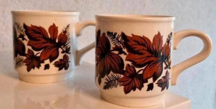 Twee Retro Bekers Biltons England, Huis en Inrichting, Keuken | Servies, Zo goed als nieuw, Kop(pen) en/of Schotel(s), Overige stijlen