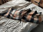 Nieuwe sjaal erg warm niet gratis, Kleding | Dames, Mutsen, Sjaals en Handschoenen, Ophalen of Verzenden, Nieuw, Sjaal