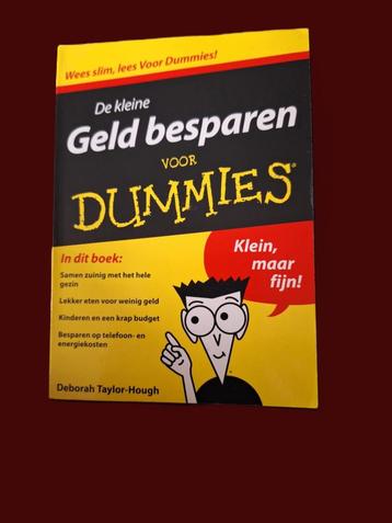 Geld besparen voor Dummies beschikbaar voor biedingen
