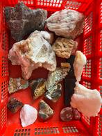Kleine verzameling mineralen, stenen/koraal, Ophalen of Verzenden