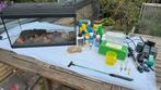 Juwel Aquarium 60x30x31 met Accessoires, Ophalen, Zo goed als nieuw, Leeg aquarium