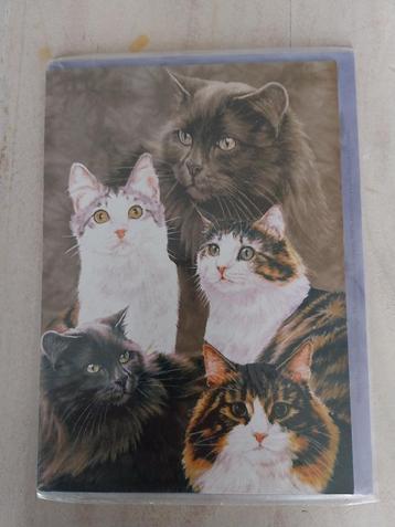 Mooie ansicht kaart met envelop met 5 soorten katten NIEUW beschikbaar voor biedingen