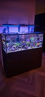 Zeeaquarium Aquaja 535, Dieren en Toebehoren, Vissen | Aquaria en Toebehoren, Ophalen, Zo goed als nieuw, Leeg aquarium