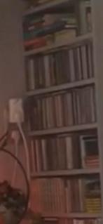 Cd   Of Dvd rek.       (SINT) verstelbare rekjes, Ophalen, 150 discs of meer, Zo goed als nieuw, Hout