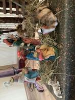 Uitgebreide kerstgroep made Italy, Ophalen of Verzenden, Zo goed als nieuw