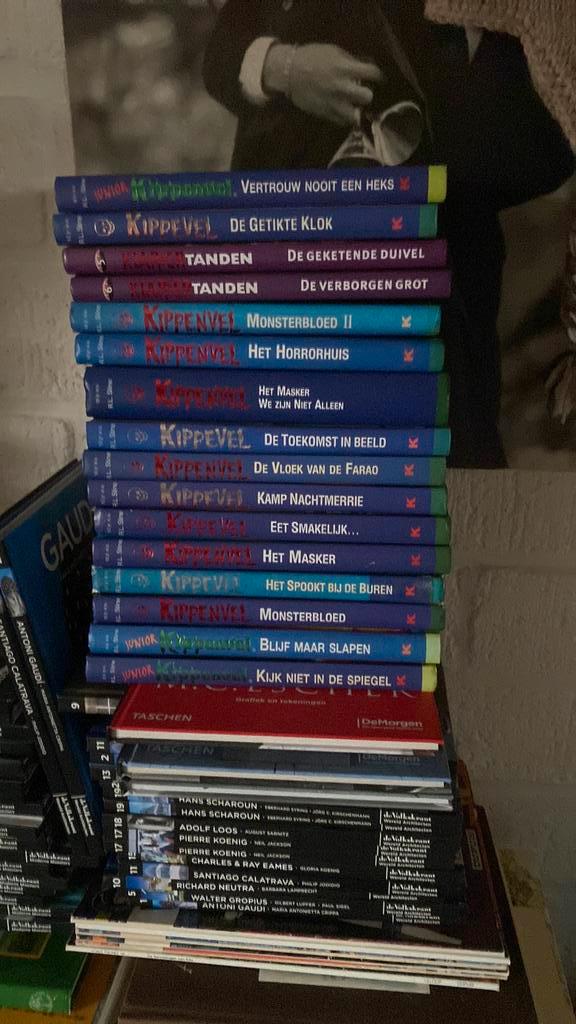 kippenvel klappertanden kippevel junior, Boeken, Kinderboeken | Jeugd | 10 tot 12 jaar, Gelezen, Ophalen of Verzenden