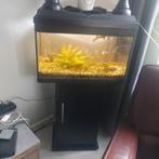 Vis aquarium, Zo goed als nieuw, Ophalen