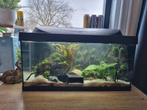 Aquarium, Dieren en Toebehoren, Ophalen of Verzenden, Leeg aquarium