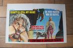 filmaffiche Terence Hill Trinity Is Still My Name filmposter, Rechthoekig Liggend, Ophalen of Verzenden, Zo goed als nieuw, A1 t/m A3