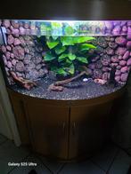 Aquarium, Ophalen, Leeg aquarium