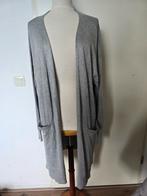 Janina grijs lang vest Maat 48 / 50, Kleding | Dames, Grote Maten, Trui of Vest, Ophalen of Verzenden, Zo goed als nieuw, Grijs