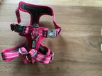 Hondentuigje, Dieren en Toebehoren, Honden-accessoires, Ophalen, Zo goed als nieuw