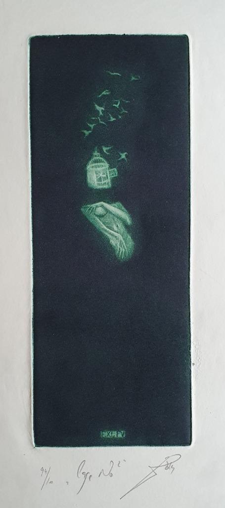 Exlibris /  Ex libris Jan Cernos, 2014, Cage No. 2, Antiek en Kunst, Kunst | Etsen en Gravures, Verzenden