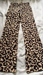 Panterprint Flared Broek - Maat M - Nieuw! Triple Nine, Maat 38/40 (M), Overige kleuren, Nieuw, Ophalen of Verzenden