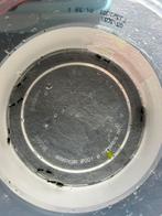 30 stuks Zwarte rili garnalen €21, Dieren en Toebehoren, Vissen | Aquariumvissen, Kreeft, Krab of Garnaal, Zoetwatervis, Schoolvis