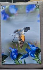Kolibrievlinder tuinposter, Tuin en Terras, Tuinwanddecoratie, Ophalen of Verzenden, Nieuw