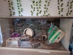 Grote hamsterkooi/aquarium inclusief accessoires., Dieren en Toebehoren, Knaagdieren en Konijnen | Hokken en Kooien, Kooi, Zo goed als nieuw