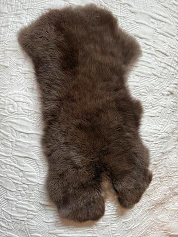 Diverse konijnenvachtjes beschikbaar voor biedingen